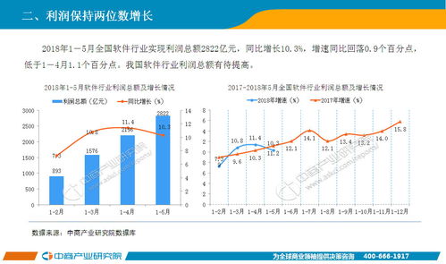 2018年1-5月中國(guó)軟件行業(yè)經(jīng)濟(jì)運(yùn)行情況月度報(bào)告——軟件服務(wù)